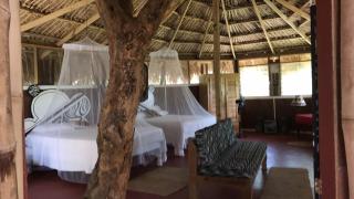 Moringa Ingadi - Treasure Beach - 0