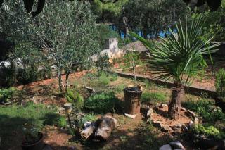Apartments by the sea Cove Mala Lamjana, Ugljan - 827 - 6