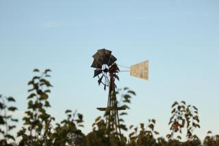 Ryland Estate Guest Apartment - 3