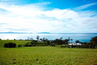 Dragonfly Lodge - Swansea - 5