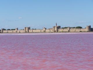 Aigues-Mortes villa prés des remparts - Aigues-Mortes - 0