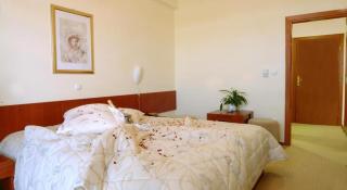 Hotel Zovko - Slavonski Brod - 8