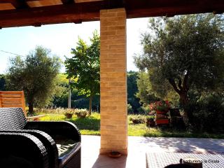 Agriturismo La Cicala - Carassai - 3