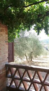 Casa dei Borghi - Murlo - 7