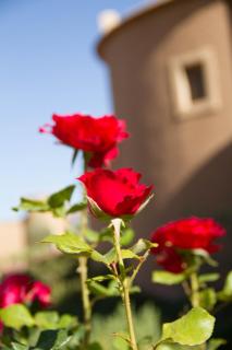 Skoura Lodge - Skoura - 6