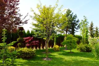 Hotel Wielkopolanka - 5