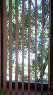 Comfort Guest Rooms - Pleven - 9