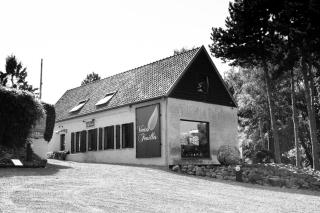 Vertes Feuilles - Saint-Sauveur - 9