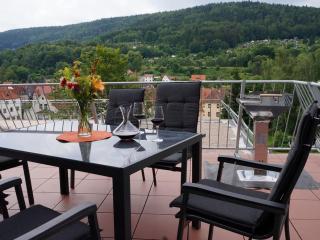 Ferienwohnungen Thüringer Wald - Zella-Mehlis - 0