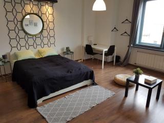 27 Shades of Green (4 bedroom 3 Bath Sunny Central) - Budapest - 9