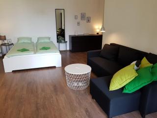 27 Shades of Green (4 bedroom 3 Bath Sunny Central) - Budapest - 3