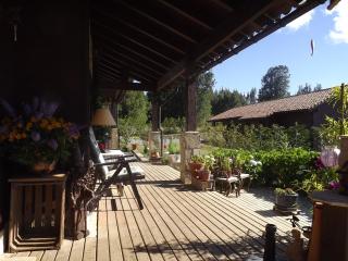 Regenbogen Bungalows - Panguipulli - 9