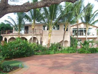 Maui Beach House B & B - Kahana - 9