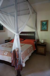 White Lotus Oasis - Ubud - 5