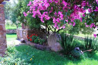 House Suestellas - Teulada - 8