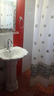 Blooming Dale Hotel - Srinagar - 2