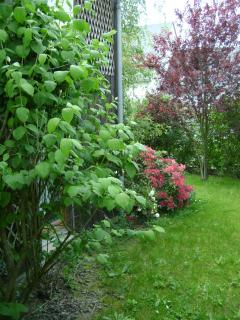 Maison La Chapelle - 5