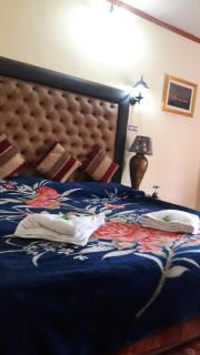 Blooming Dale Hotel - Srinagar - 3