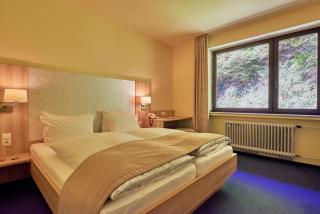 Moselromantik Hotel Weissmühle - Cochem - 9