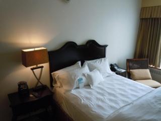 The Tidewater Inn - Easton - 8