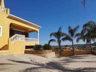 Gato Preto de Silves - Adults Only - 6