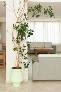 Ageri Hotel - Tinos - 6