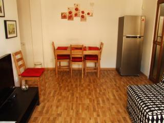 Iri's Downtown Apartment no. 1 - Ploieşti - 3