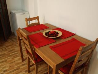 Iri's Downtown Apartment no 1 - Ultracentral - 2