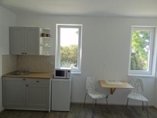 Apartmány Starovice - Starovice - 7