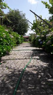 Quinta Drº Amarante - Gondomar - 4