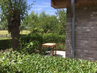 B&B Knotwilgenhoeve - 9