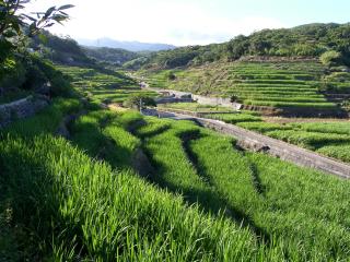 Emoonten Homestay - 5