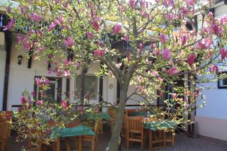 Pension Tip-Top - Târgu-Mureş - 7