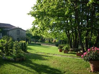 Le querce felici - Montegabbione - 9