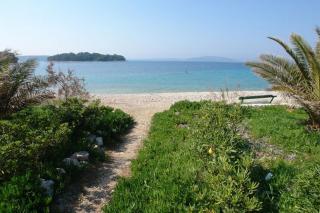 Apartment Gale - Maslinica - 3