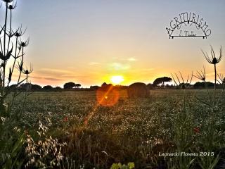 Agriturismo San Matteo - Tarquinia - 0