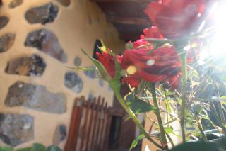 Casa Rural Las Rosas - Agulo - 3