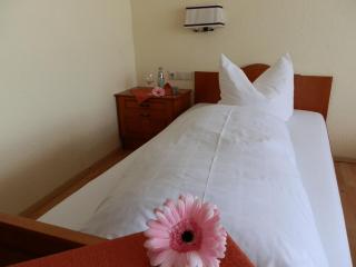 Landhotel Löwen - Blumberg - 3
