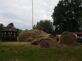 Ferienwohnung Zum Heuschober - Burg - 5
