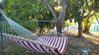 Magnetic Island Bed and Breakfast - 4