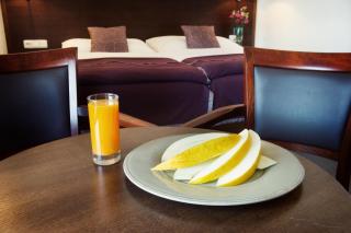 Hotel Farma - Pelhřimov - 4