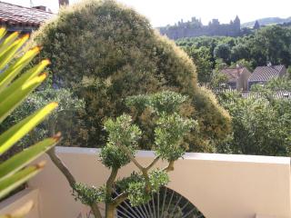 Appartement Le Saint Nazaire - Les Balcons de la Cité - Carcassonne - 7