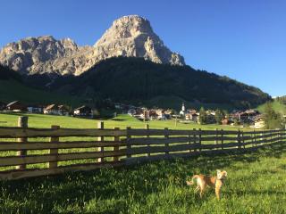 Residence Ciasa Dl Mone - Colfosco - 5