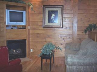 New River Trail Cabins - Galax - 8