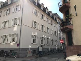 2 Zimmer Appartement am Bismarckplatz Heidelberg - Heidelberg - 1
