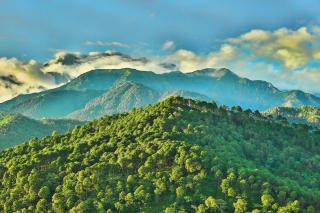 Chimbalhar Heights - Pālampur - 5