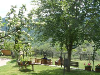 B&B Le Grazie - Piaggine - 2