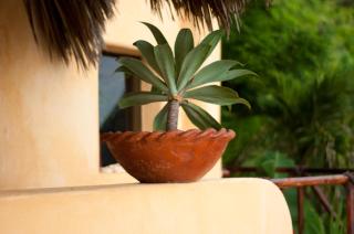 Espuma Hotel - Adults Only - Zihuatanejo - 5