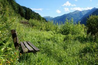 Ferienwohnung am Sonnseitweg - Grossarl - 5