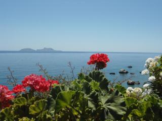 Nikos Place - Agia Galini - 8